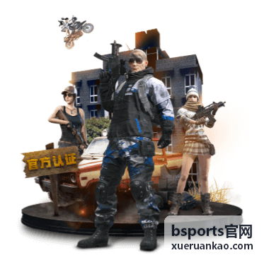 bsports官网参与流程指引封面图
